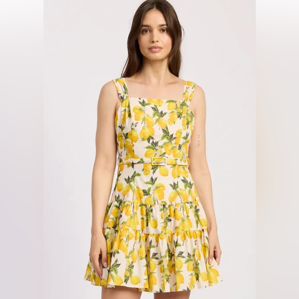 NWT En Saison Blanca linen lemon print dress. XS.